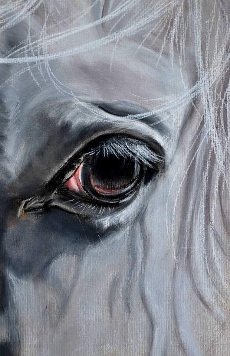 cheval detail 1.jpg - Pastel 40x30